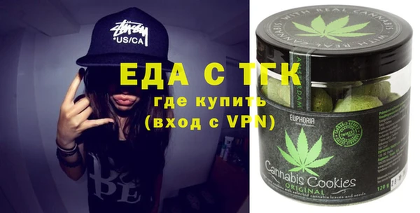 шишки Лабытнанги