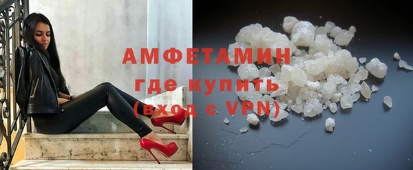 шишки Лабытнанги