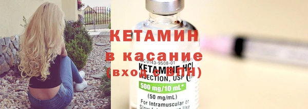 шишки Лабытнанги