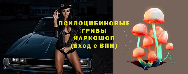 мет Ладушкин