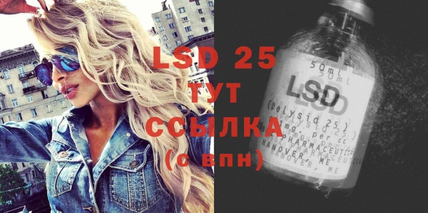 шишки Лабытнанги