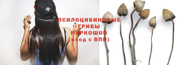 мет Ладушкин