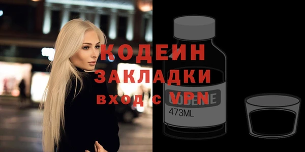 шишки Лабытнанги