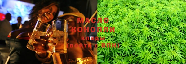 шишки Лабытнанги
