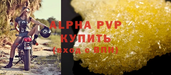 шишки Лабытнанги