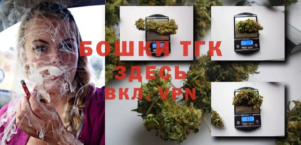 мет Ладушкин