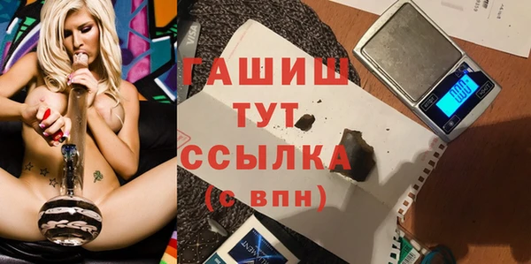 шишки Лабытнанги