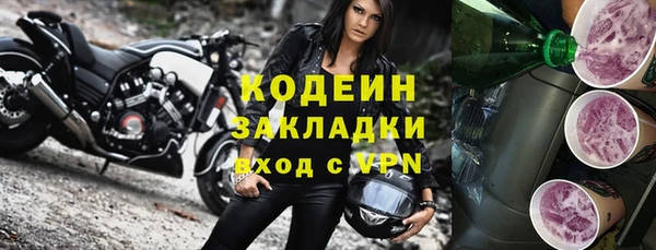 шишки Лабытнанги