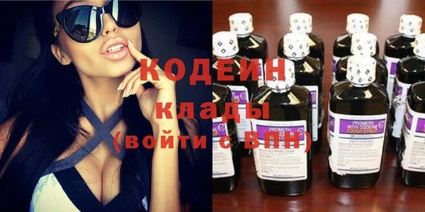 шишки Лабытнанги