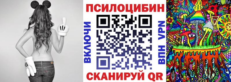 Псилоцибиновые грибы Psilocybine cubensis  Рославль 