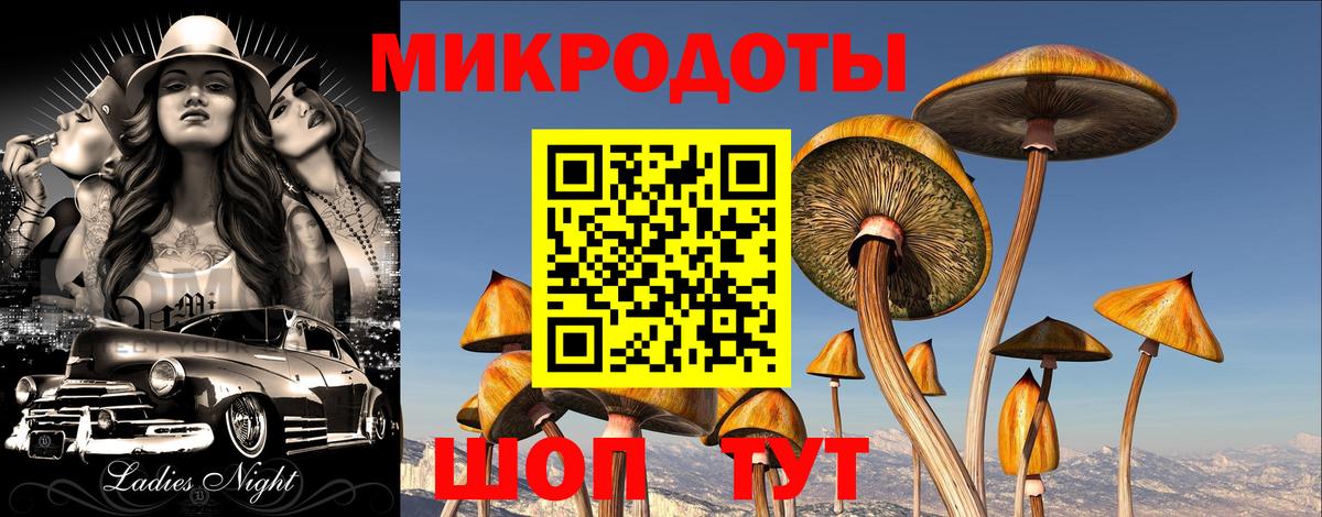 Галлюциногенные грибы Cubensis  закладки  Рославль  Вход с VPN 